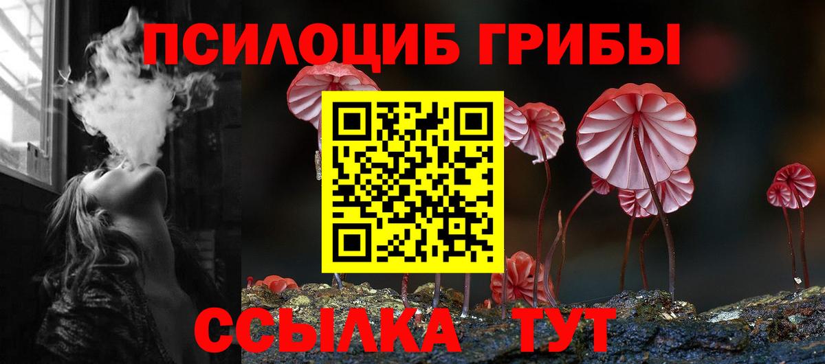 купить  цена  Вход с VPN  Великий Устюг  Галлюциногенные грибы мицелий 